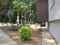 2011-07-18 Rakursas Nr. 6